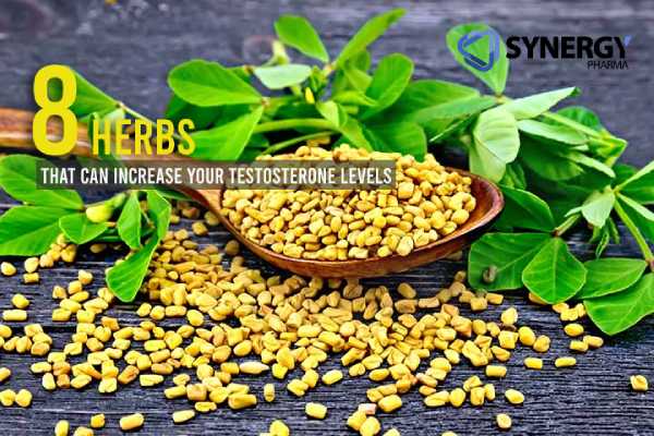 8 most important herbs that can boost your testosterone levels