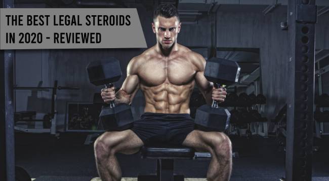 3 Things Everyone Knows About steroide naturel moutarde That You Don't